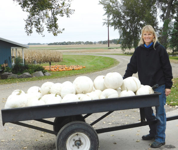 The pumpkin season